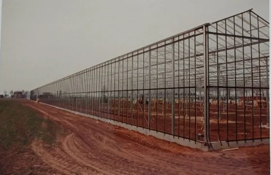 construction.jpg.webp