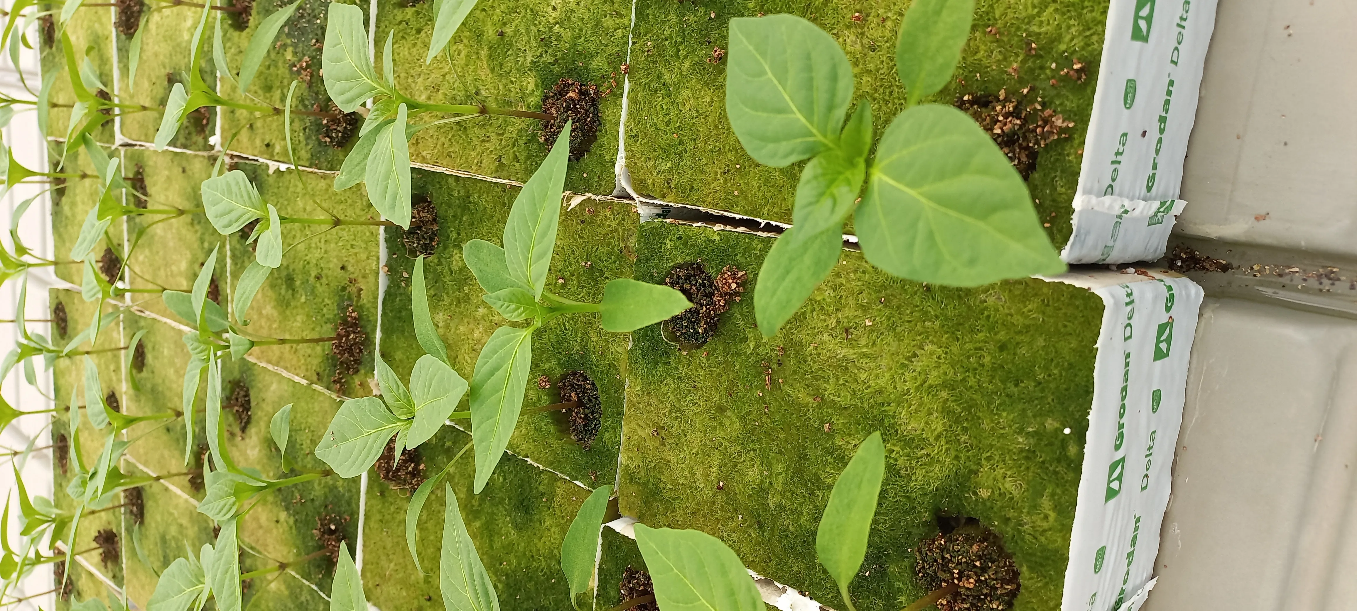 20230907_153349.jpg.webp