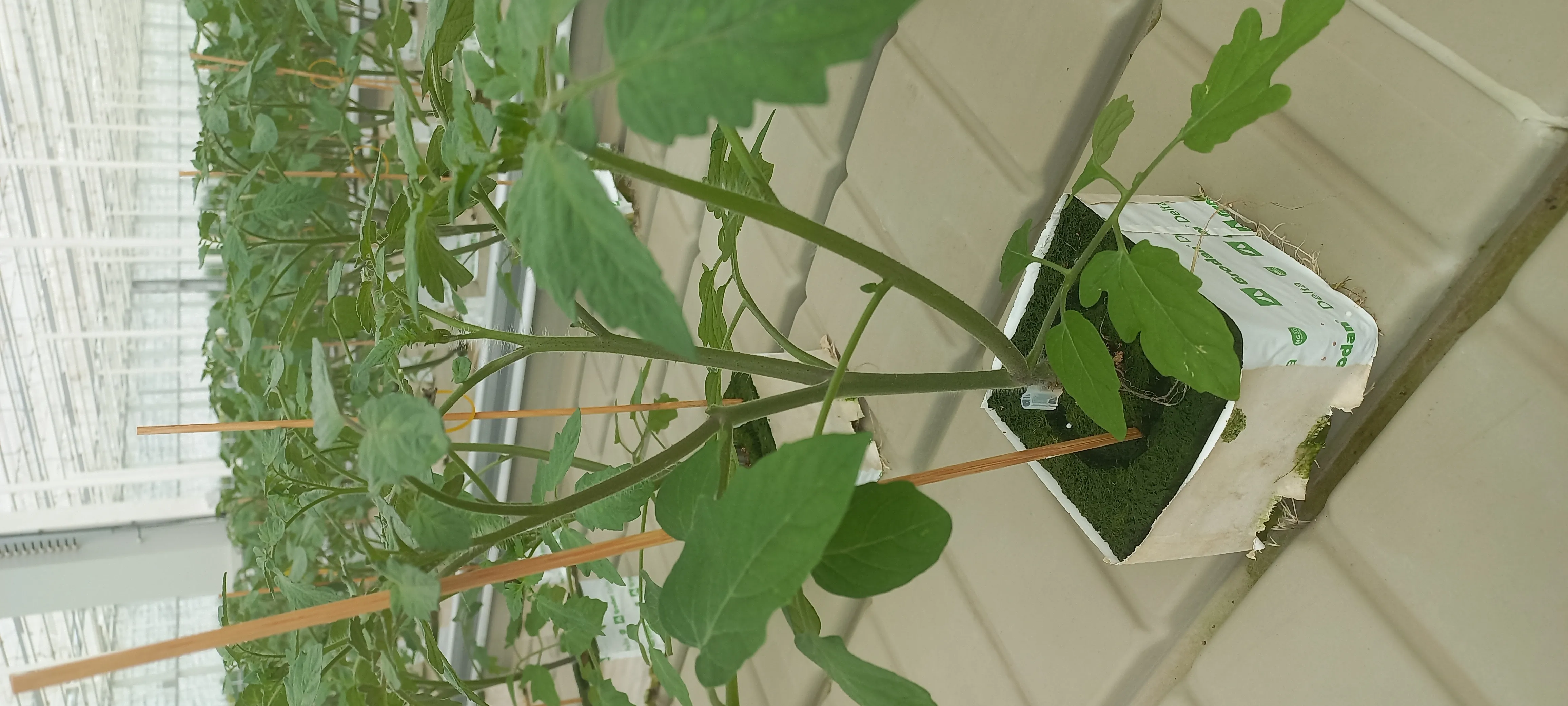20230911_135417.jpg.webp