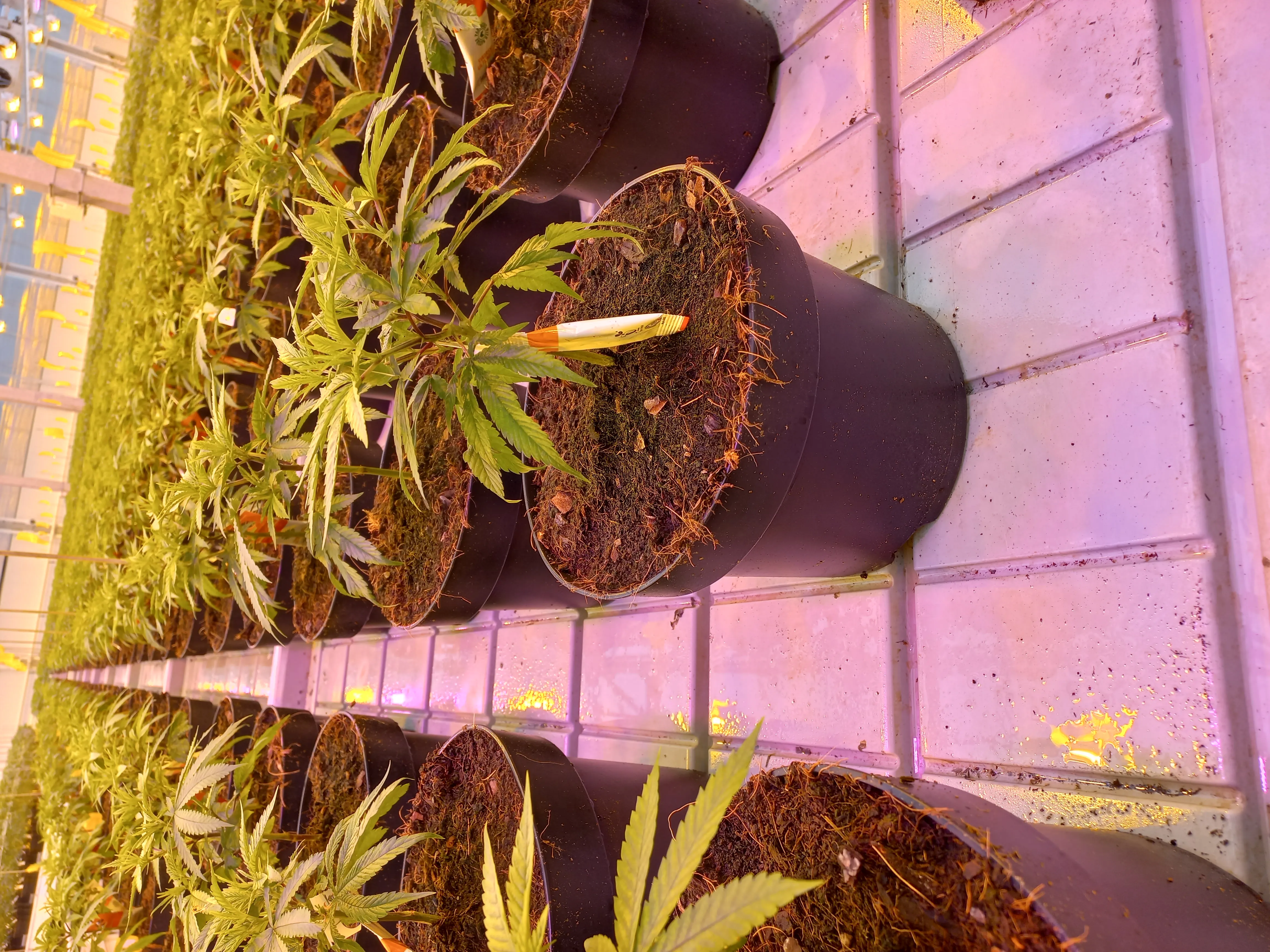 20220928_115332.jpg.webp